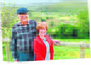 Nguniland: Holte vir jou hart