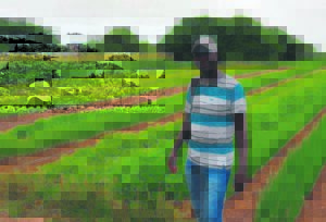 Garden feeds learners and families