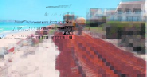 New access road brings hope for the St Francis spit