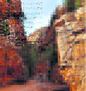 Warm op die kolkatte se spoor