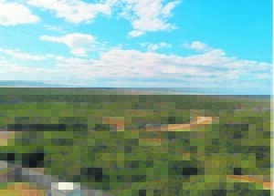 Upgrades for Paradise Beach