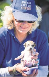 St Francis Animal Rescue’s successful month