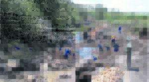 MTO to revive Tsitsikamma wetlands