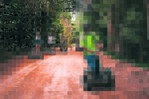 Tsitsikamma: A sea and forest wonderland