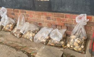 Police arrest suspects, confiscate abalone worth R350 000 in Humansdorp