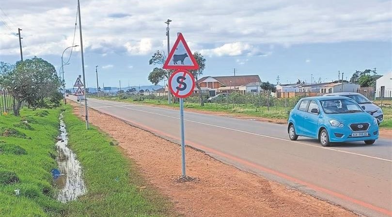 Dolphin Street in Jeffreys Bay.