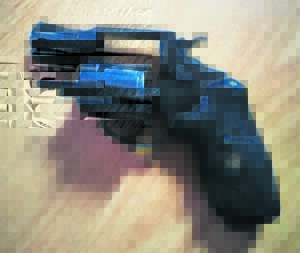 Patensie: Man oorleef plaasaanvallers se skoot in sy kop