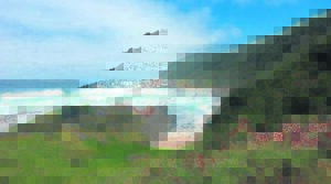 Tsitsikamma Nasionale Park: Watervalstaproete is ‘n versteekte juweel