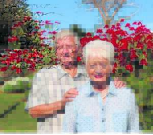 Raak weg tussen bome en kleur