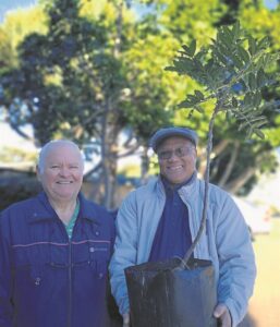 Plant a tree and save the future