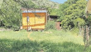 Alleged squatters build Wendy house as last option