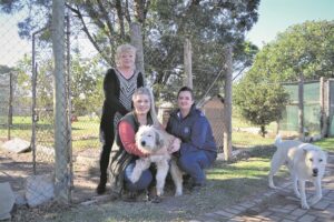 SPCA Assisi in need of building material
