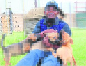 Dozens of four-legged friends homeless