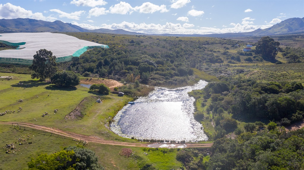 Die gemengde boerdery-eenheid van 575ha, met 56ha 