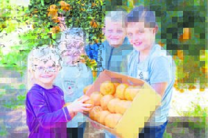 Gamtoos hou Nartjiefees