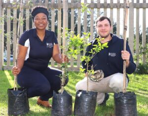 Plant a tree this Arbor Week