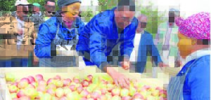 Swart boere kry hulp