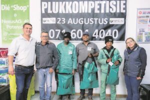 Sitrus snoei-en-plukkompetisie ’n reuse-sukses