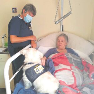 Therapy dogs bring joy to elderly during weekly visits