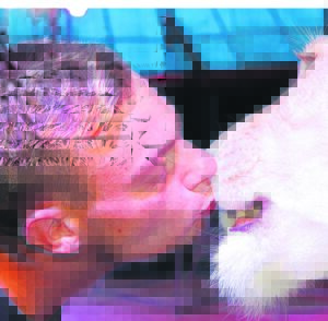 Roadblocks to be held across Kouga