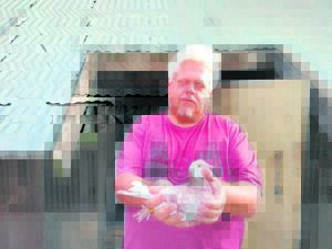 Spogduif het lang asem