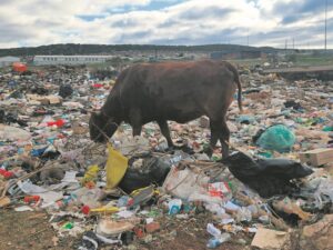 Unique litter reduction campaign aims for continental impact