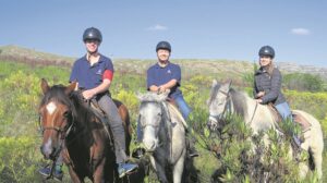 Dít is hoe jy die Baviaans moet sien