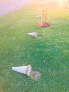 Vandale maak amok – kweek eerder trots!