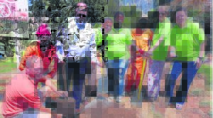 Trees for Kouga Municipality’s Revenue team