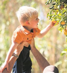 Loerie skud ‘skille’ reg vir familiefees