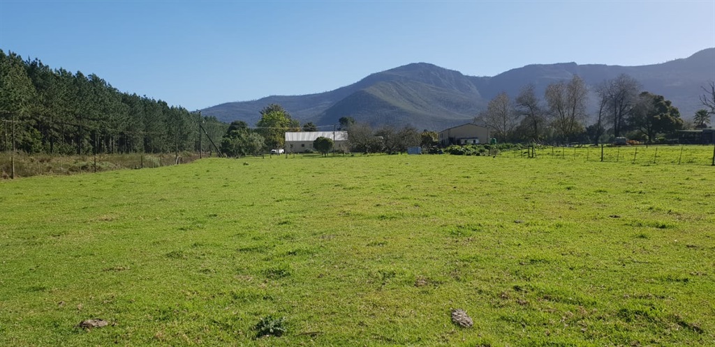 van rensburg auctions