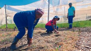 Partnership formed to assist unemployed