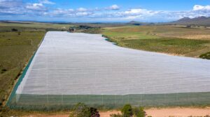 GEBORG | Dié drie sitrus- en gemengde boerdery plase bied kans vir uitbreiding