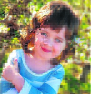 Langkloof skud bloeisels reg vir fees