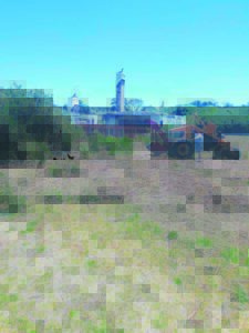 Bush-clearing to reduce risk