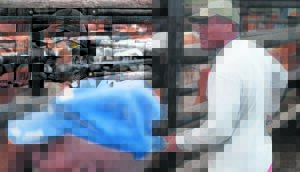 Emerging farmers are bullish