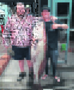 Astonbaai-inwoner vang knewel