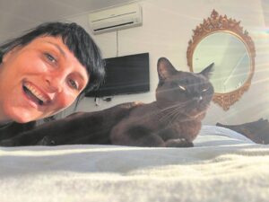 Kooks die kat ry 700 km van Kaapstad tot St. Francisbaai saam in voertuig se onderstel