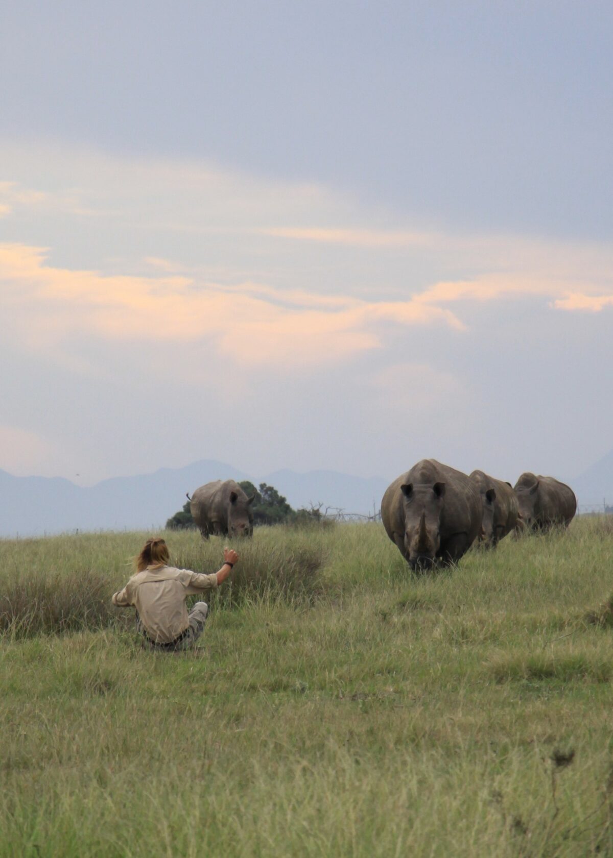 'n Man met renosters.