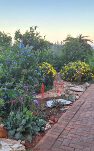 TuinKoors loop hoog in aanloop na KunsKoors