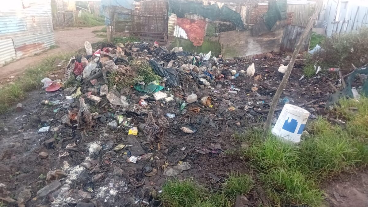 Informal settlement residents battle with overflow of waste