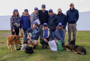 Crackdown on illegal dog breeding in Sea Vista