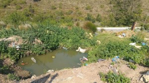 Residents demand action on municipal service failures in Kareedouw