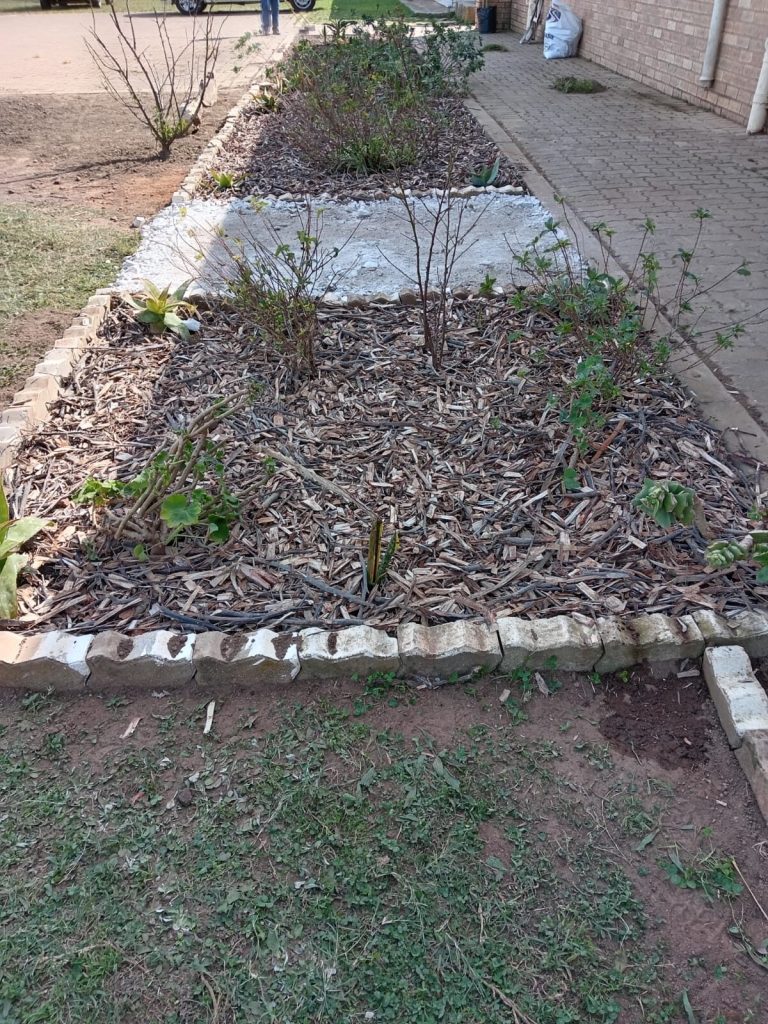The new garden at Lungiso Public School.