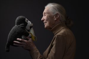 WATCH: World leaders and conservationists pay tribute to Jane Goodall following her death at 91
