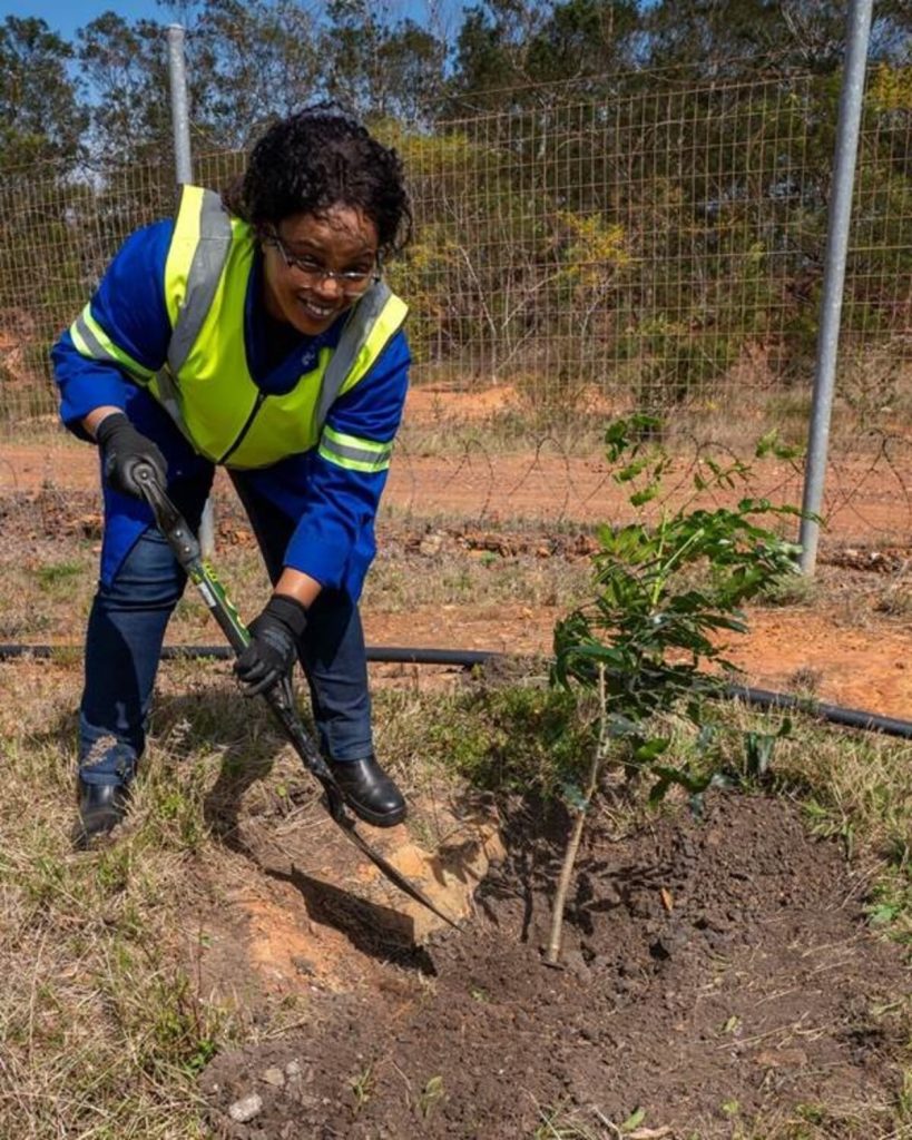 Busisiwe Ngwalangwala, planting trees and succulents.