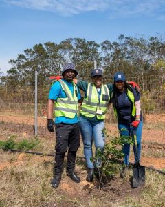 Woodlands Dairy plants trees in celebration of Arbor Week