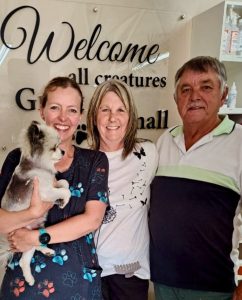 A second chance at life for Piet the Pomeranian