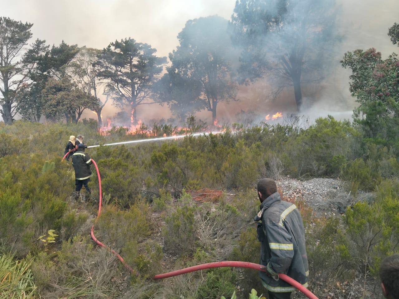 Firefighters extinguishing a fire.