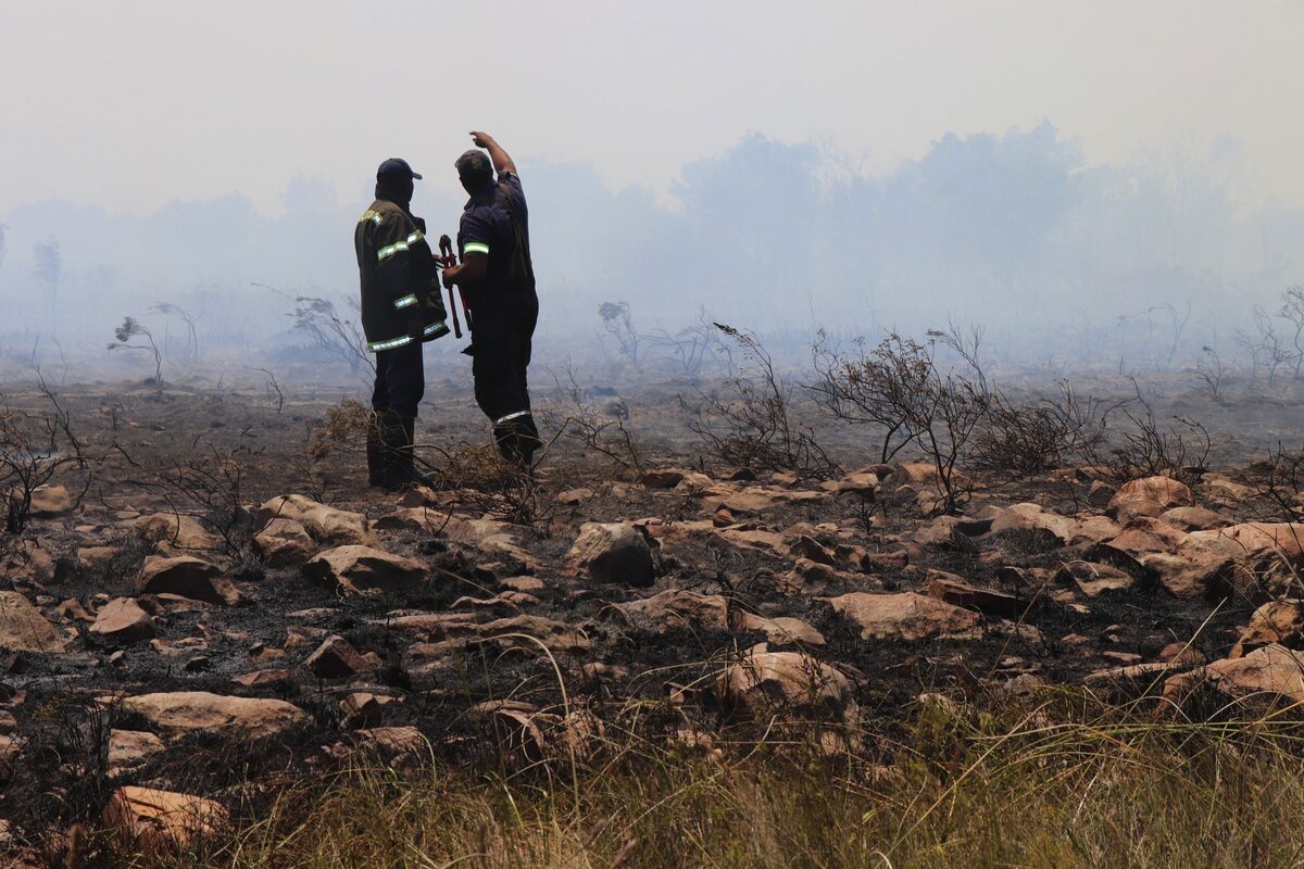 Two firefighters looking at smoke from a fire.